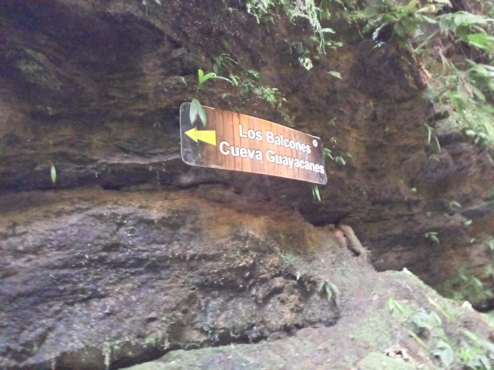 Cueva de los Guayacanes y del Oso