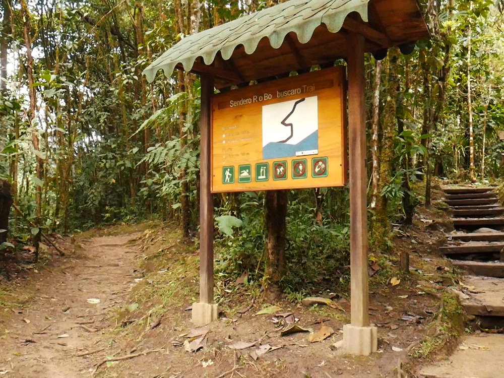 Parque Nacional Podocarpus