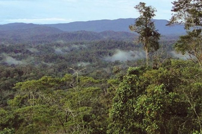 Refugio de Vida Silvestre El Zarza