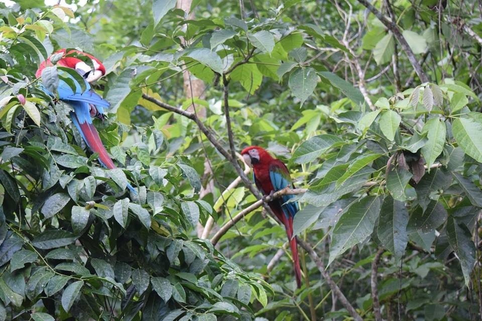 Tzanka Refugio Ecológico
